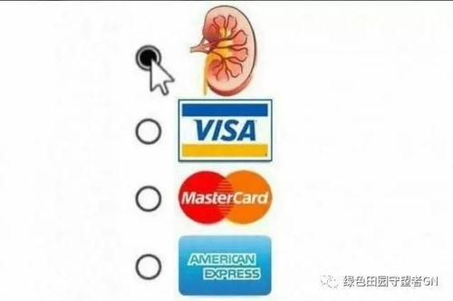 形容吃瓜群众 成语,围观时代的众生相