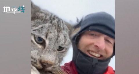 吃瓜798山猫无名,山猫无名的神秘故事