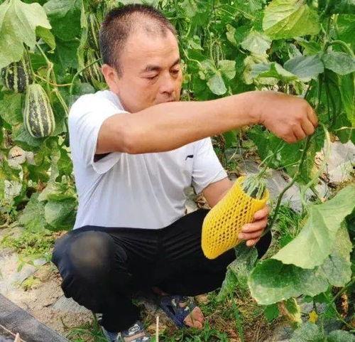 新宠吃瓜,揭秘娱乐圈最新热点事件