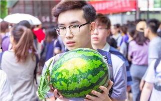 希望学院吃瓜,揭秘校园热点背后的真相