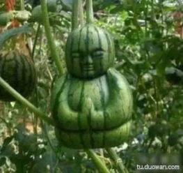 吃瓜人搞笑,笑料百出的搞笑瞬间