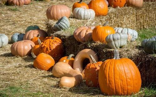 一哥吃瓜,揭秘娱乐圈幕后真相