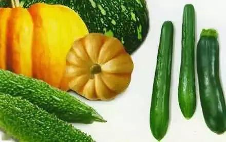 武生院吃瓜,揭秘校园美食背后的故事