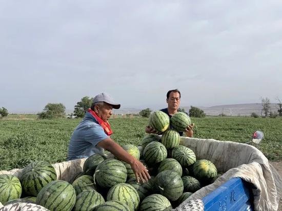 辽宁盘锦吃瓜,探寻辽宁盘锦的美食之旅