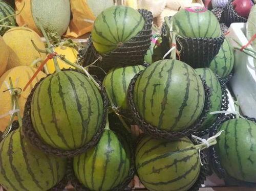 辽宁盘锦吃瓜,探寻辽宁盘锦的美食之旅