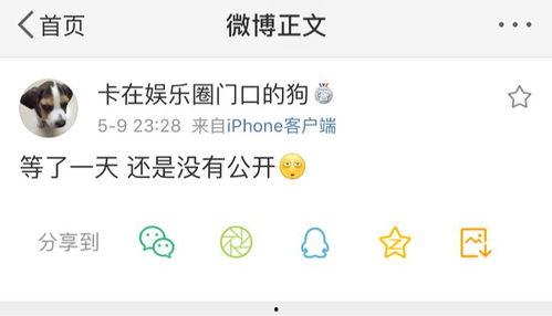 吃瓜爆料类小说,娱乐圈幕后风云大揭秘