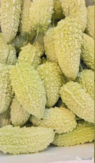 琉月吃瓜,揭秘娱乐圈背后的秘密与真相