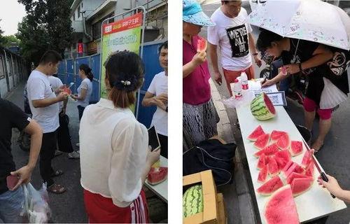 吃瓜活动好评,好评如潮！吃瓜活动精彩回顾