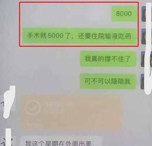 云烟金主吃瓜,揭秘娱乐圈背后的秘密风云