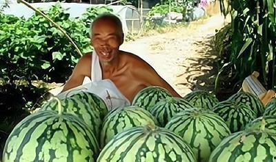 路边吃瓜君,揭秘街头巷尾的趣味生活