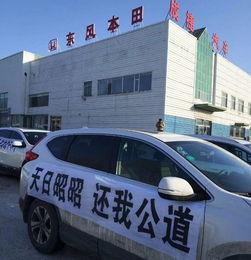 本田车吃瓜,揭秘汽车界的“甜蜜陷阱”