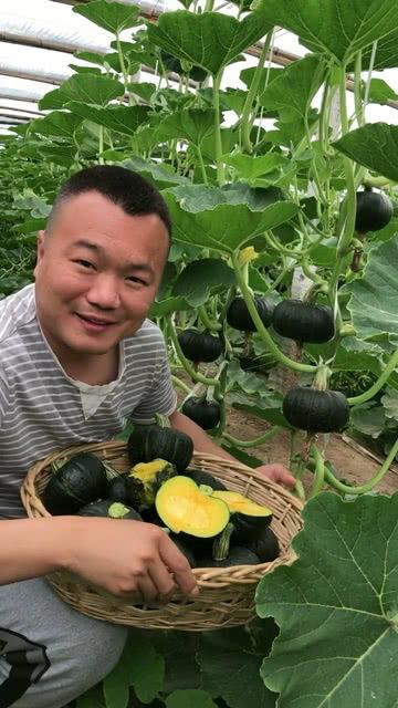 贝贝小瓜怎么吃,轻松解锁美味新体验