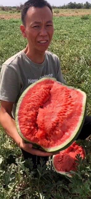 吃瓜我最棒2,揭秘娱乐圈幕后风云