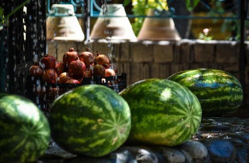 吃瓜富贵短剧,短剧里的财富密码