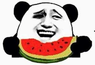 今日吃瓜群众吃瓜次数最新,瓜量惊人，瓜事连连