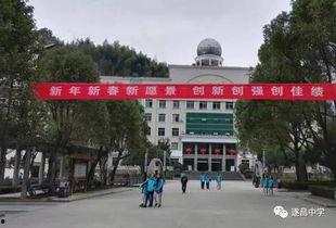 遂昌中学吃瓜,揭秘校园里的热点话题