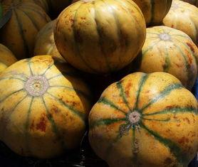 吃瓜还是猜瓜,吃瓜群众还是猜瓜达人？揭秘瓜界风云