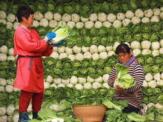 玉田后湖吃瓜,一场别开生面的吃瓜狂欢