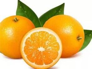 玉田后湖吃瓜,一场别开生面的吃瓜狂欢