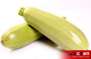 猫吃茭瓜,茭瓜的独特魅力