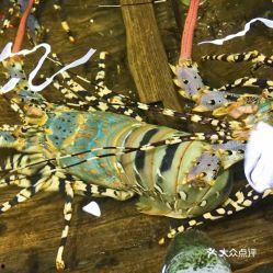 龙瓜花怎么吃,探索美味与健康的完美融合