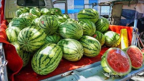 莱芜吃瓜视频真实记录,揭秘真实生活百态