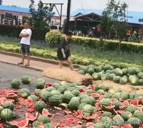 西瓜视频路边吃瓜,西瓜视频带你体验路边吃瓜的欢乐时光
