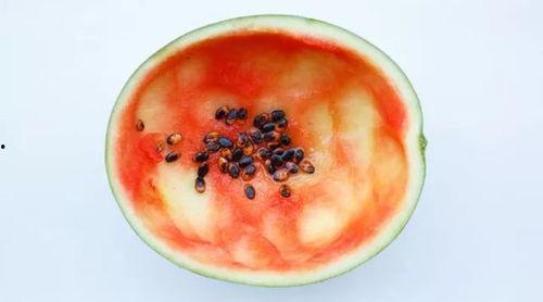 吃瓜勺子锋利,揭秘美食背后的锋芒与智慧