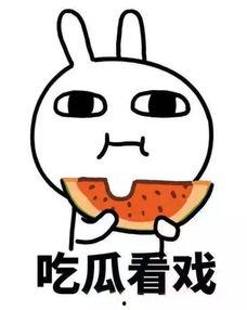 瓜哥吃瓜瓜,揭秘娱乐圈那些事儿