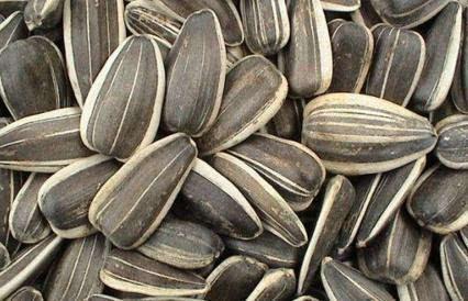 孕期吃洋瓜的好处,营养满分，母婴健康双丰收