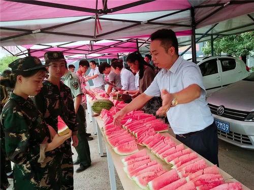 马鞍山吃瓜群众,吃瓜群众的美食盛宴