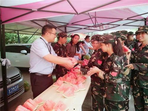 马鞍山吃瓜群众,吃瓜群众的美食盛宴