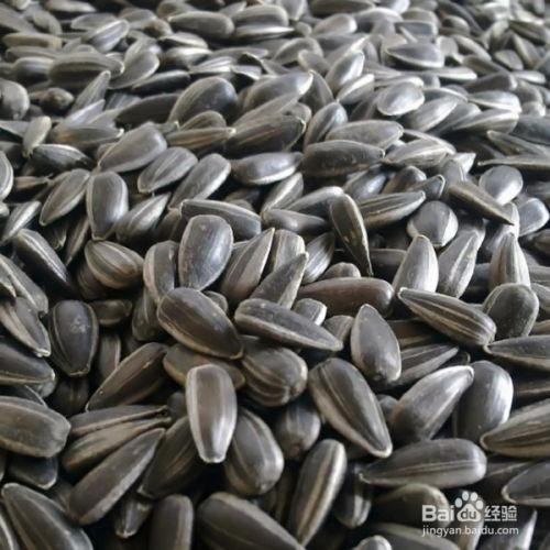 吃瓜可以吃瓜子吗图片,揭秘“吃瓜可以吃瓜子”的趣味真相