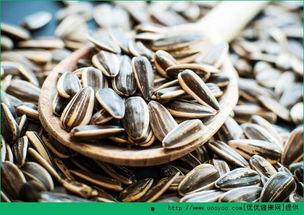 吃瓜可以吃瓜子吗图片,揭秘“吃瓜可以吃瓜子”的趣味真相