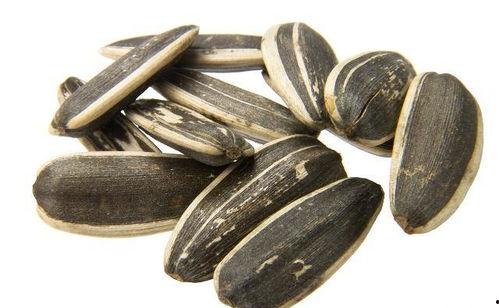 吃瓜可以吃瓜子吗图片,揭秘“吃瓜可以吃瓜子”的趣味真相