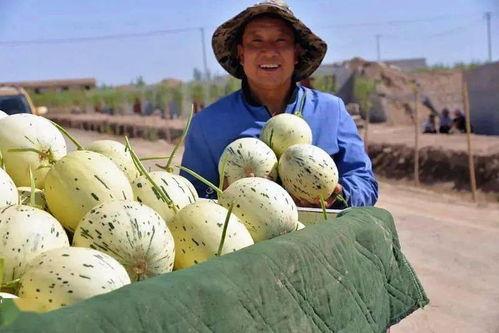 甘肃天水女子吃瓜事件