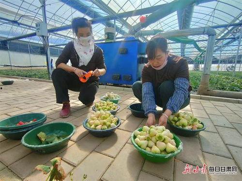 甘肃天水女子吃瓜事件