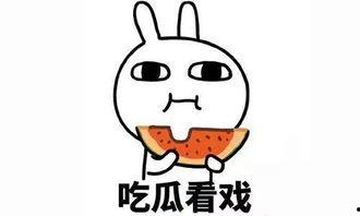 吃瓜网校园暴力,吃瓜网深度揭秘