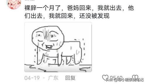 吃瓜朋友的视频,一场视觉盛宴的幕后故事