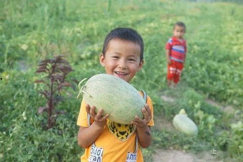 月升沧海小胖吃瓜,小胖吃瓜，揭秘娱乐圈幕后风云