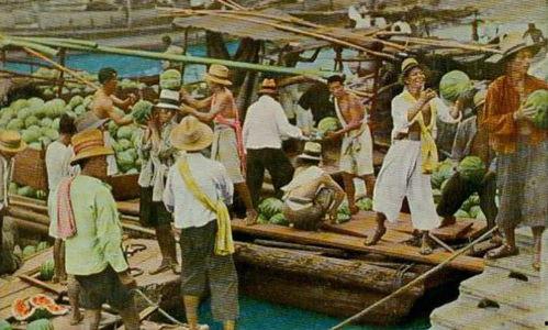 青浦吃瓜群众事件最新,一场网络舆论的风暴与反思