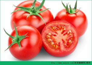 吃瓜系统文番茄,吃瓜群众的“瓜中王者”