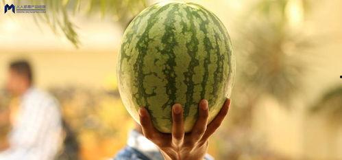 微薄吃瓜,揭秘娱乐圈幕后真相