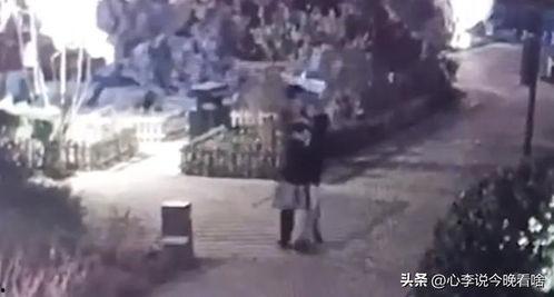 沉浸吃瓜视频,带你走进热门视频背后的故事