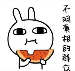 节约吃瓜的搞笑文案