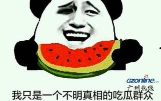 吃瓜小哥真相君介绍,吃瓜小哥真相君带你探寻明星幕后真相