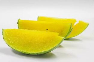 弯道吃瓜,揭秘弯道上的趣味瞬间