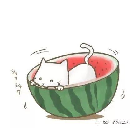 头像 卡通动漫吃瓜,欢乐无限