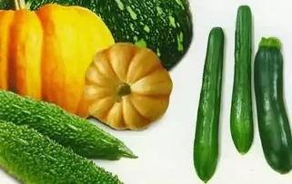 怎么吃欧美的瓜,如何品尝异国风味