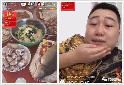 淡哥吃瓜视频,娱乐圈幕后真相大曝光